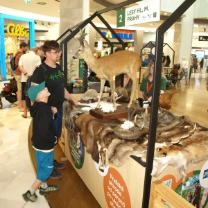 imgP1016098.webp