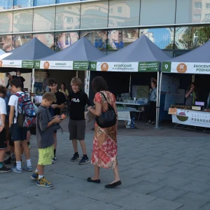 imgP1015884.webp