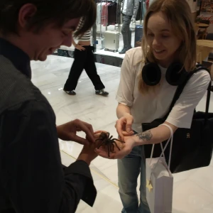 imgP1016092.webp
