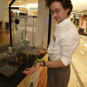 imgP1015993.webp