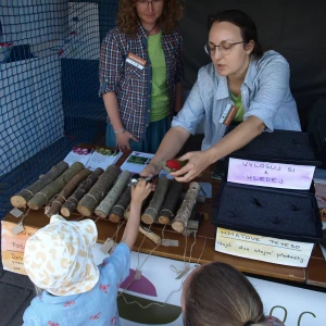 imgP1015881.webp