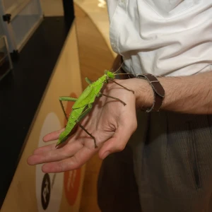 imgP1015992.webp