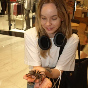 imgP1016093.webp