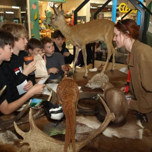 imgP1015832.webp