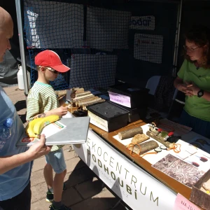 imgP1015960.webp