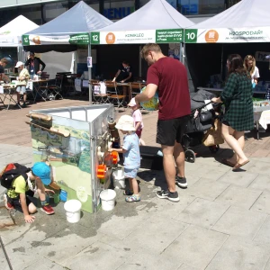 imgP1015952.webp