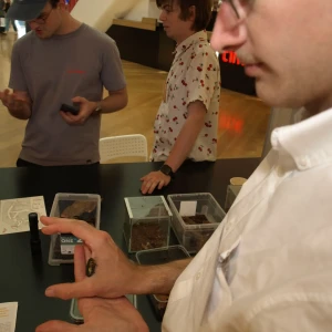 imgP1015988.webp