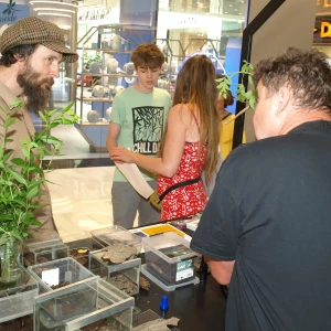 imgP1016096.webp