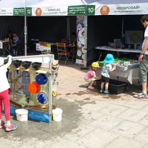 imgP1016113.webp