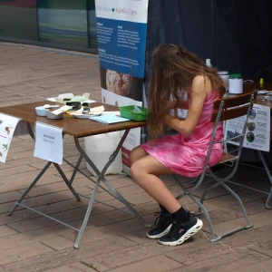 imgP1016087.webp