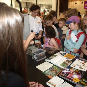 imgP1015816.webp