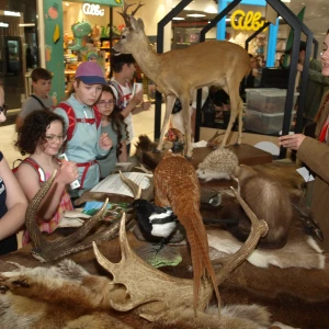 imgP1015839.webp